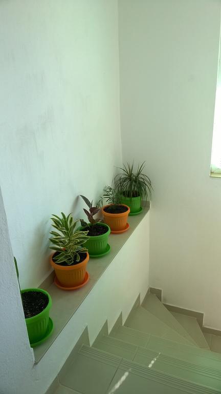 סוזופול Summer Sz Guest House מראה חיצוני תמונה